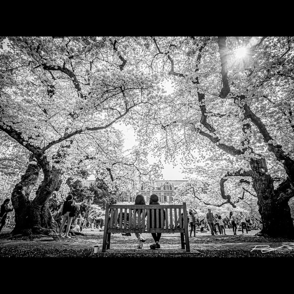 Meet your Posher, Roman - Picture 5 of 8